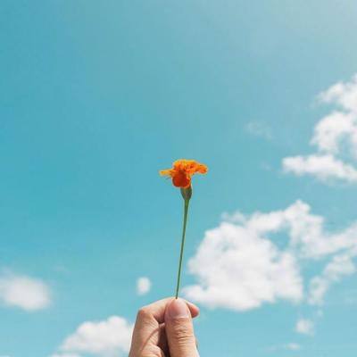 爆衣战姬破解版下载