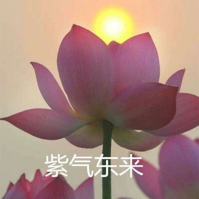 暗黑屠龙小米版下载